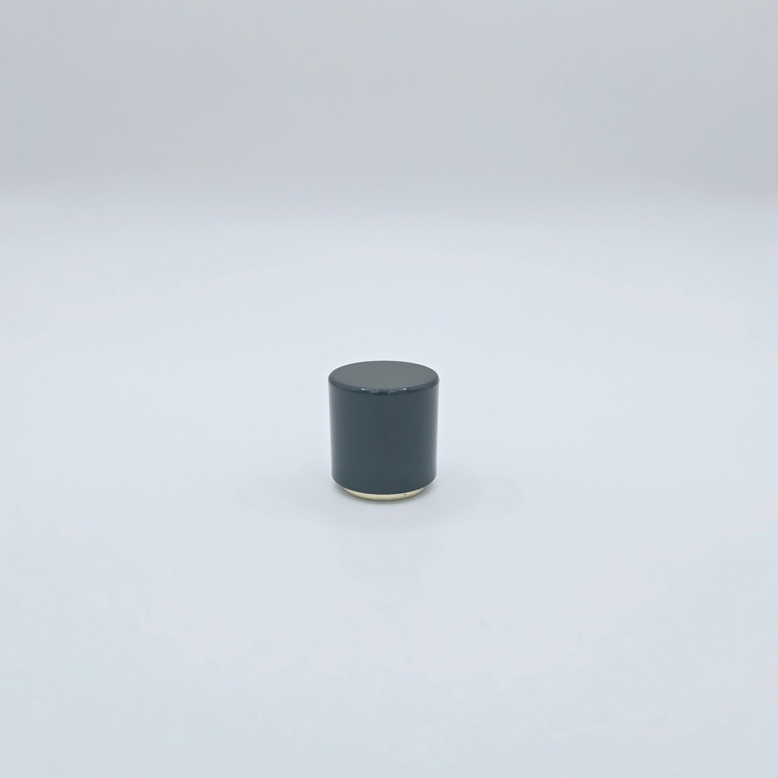 NS-224 Plastic Cap perfume bottle cap